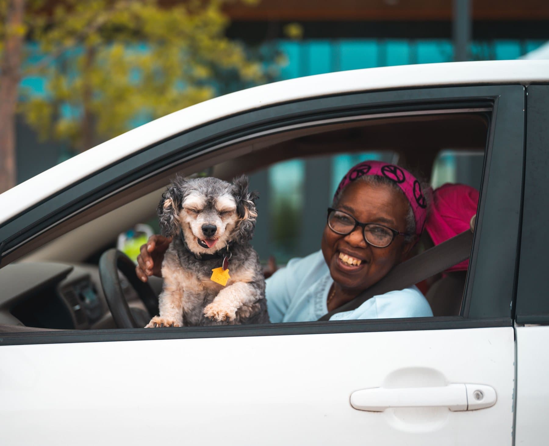 A smiling driver and her small dog looking out of the window of a clean white car. A photo from Curbside Mobile Repair, the sample mobile repair unit website.