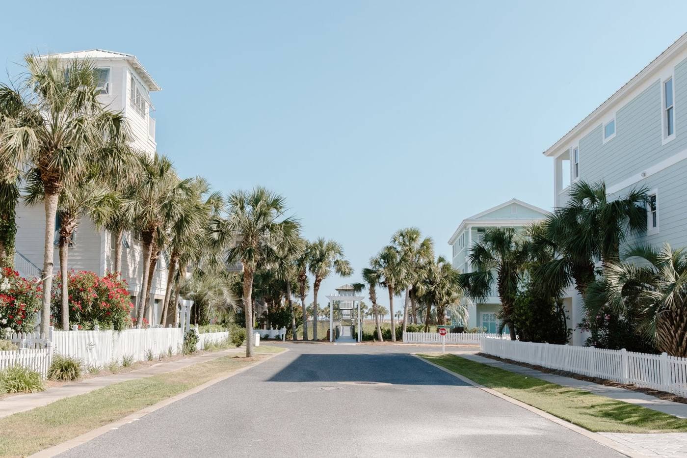 A sunny street lined with palm trees and white houses under a clear sky