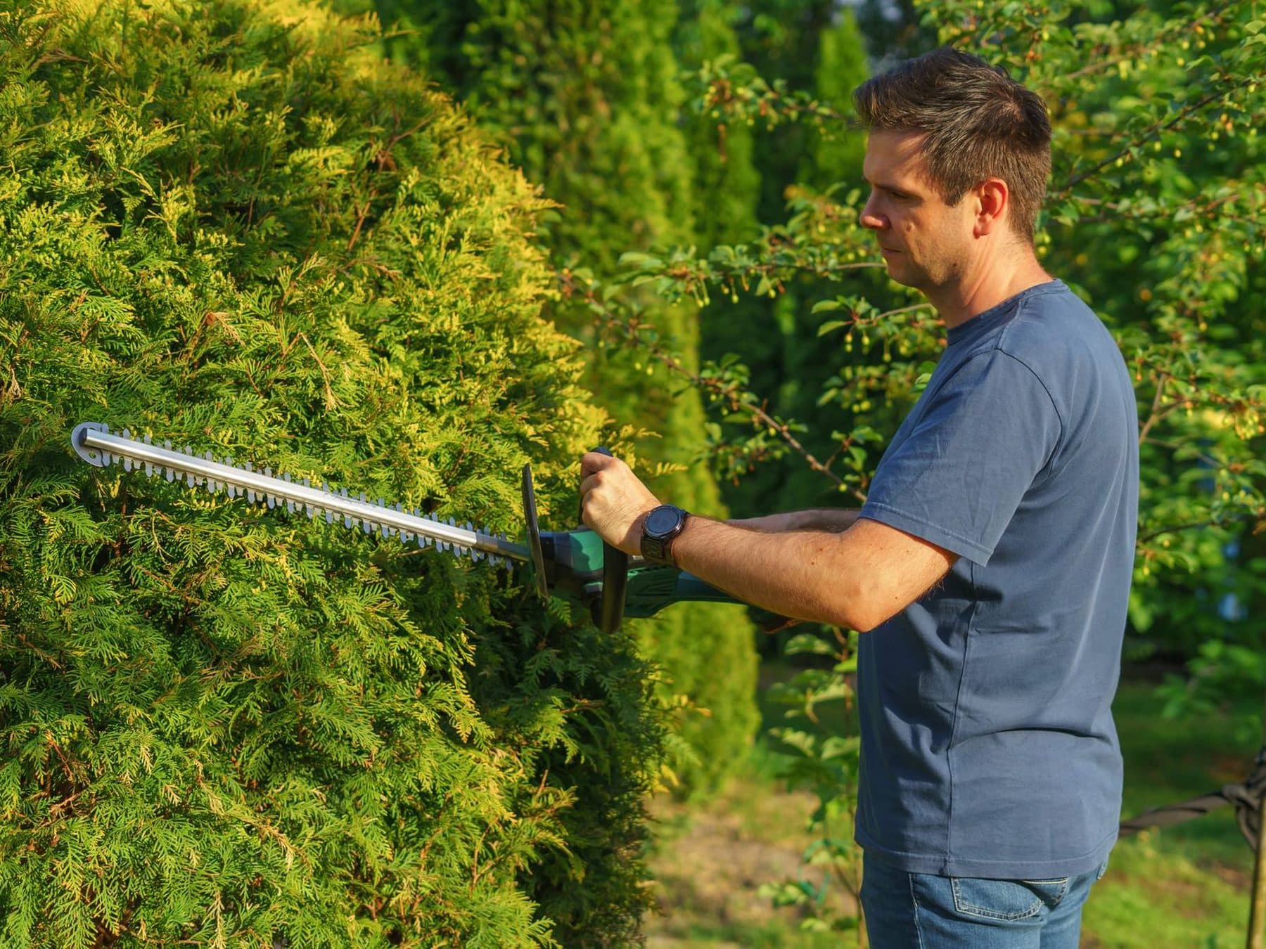 Lawn & landscape: a photograph from the sample site we built for the trade