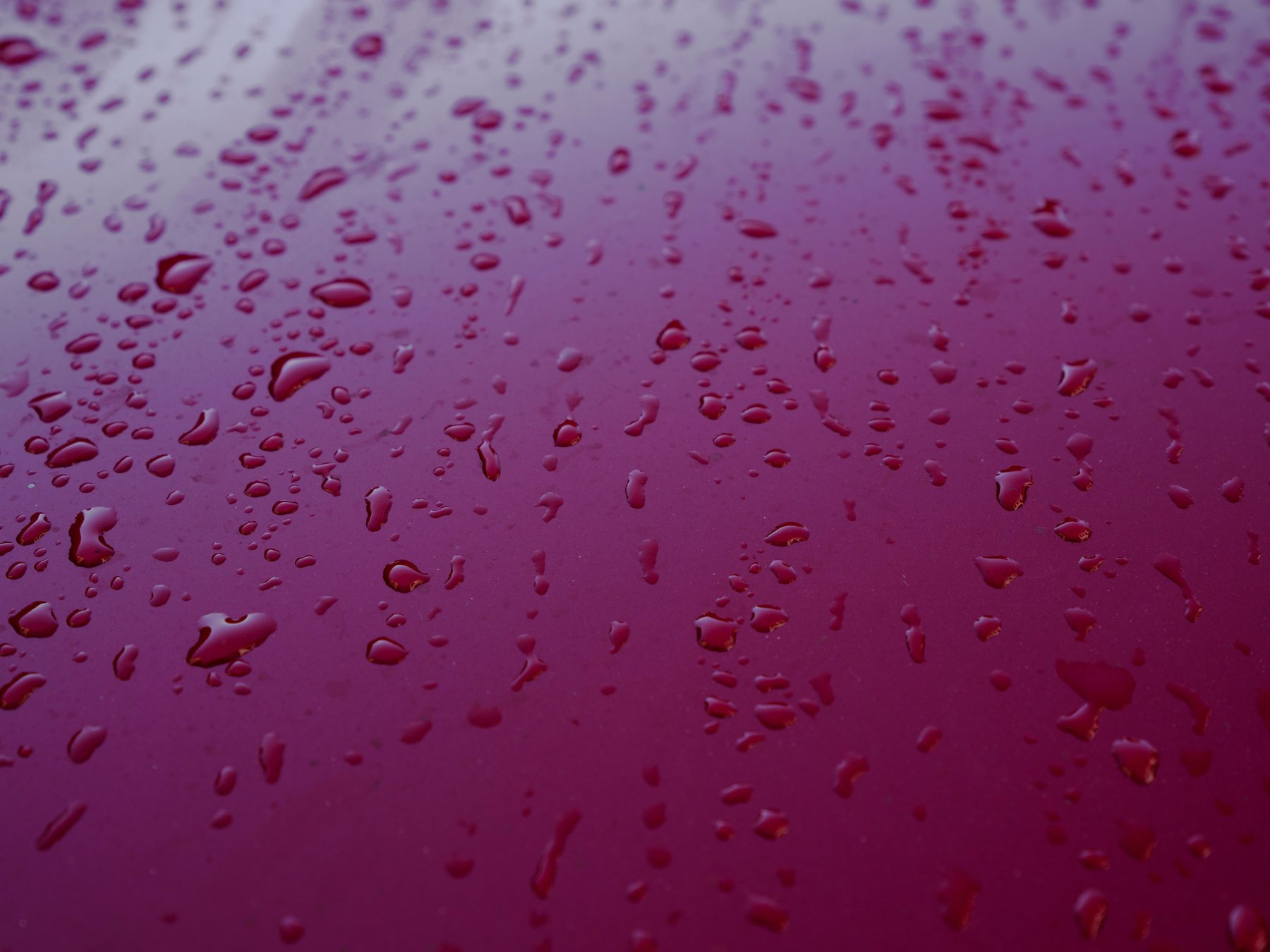 Rain beading into tight droplets on a freshly polished red roof