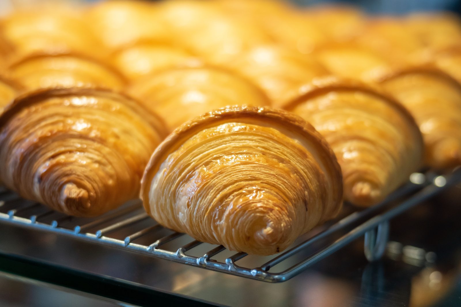 A row of glossy golden croissants cooling on a steel baking rack