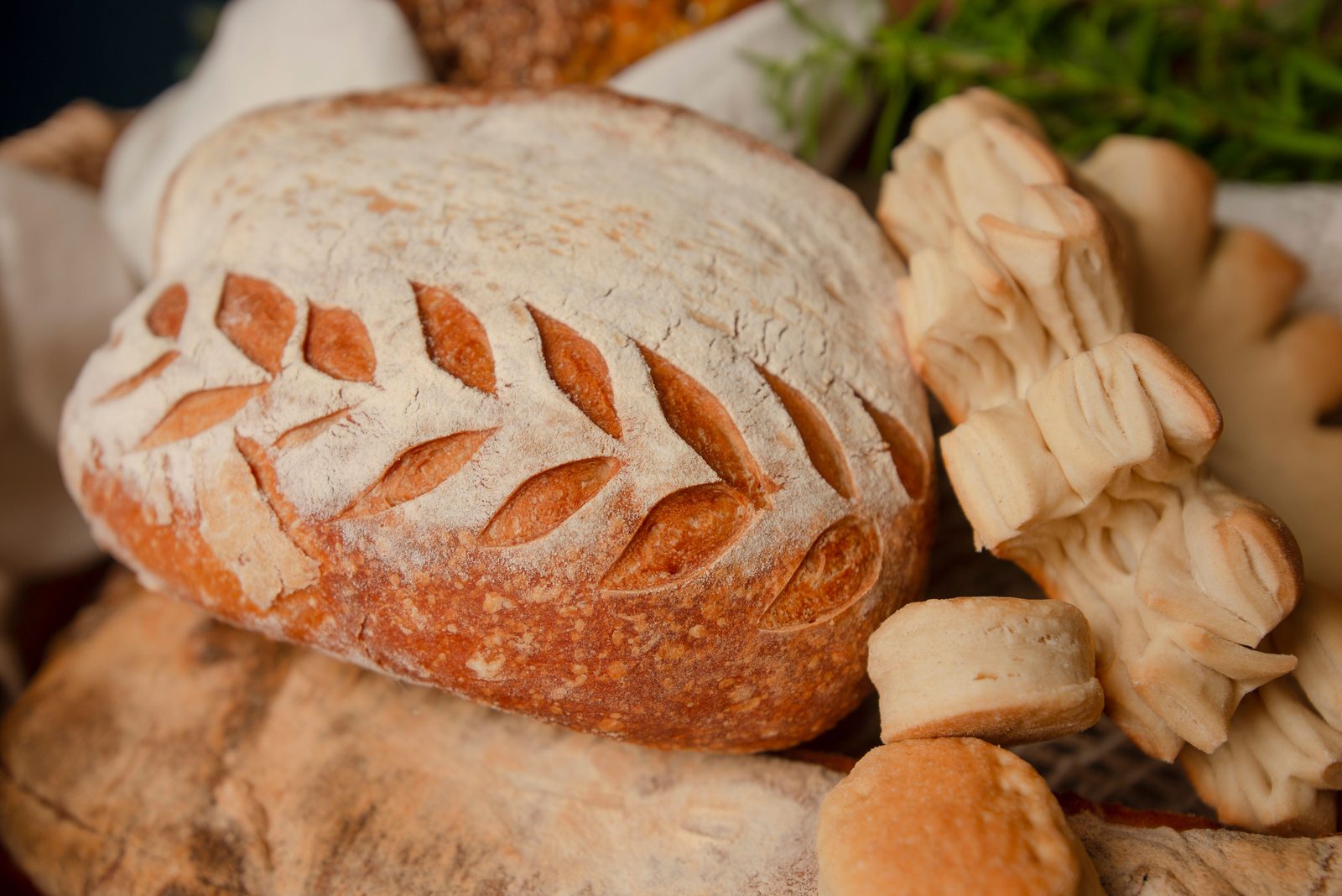 A round floured sourdough loaf with a leaf-pattern score and a golden crust
