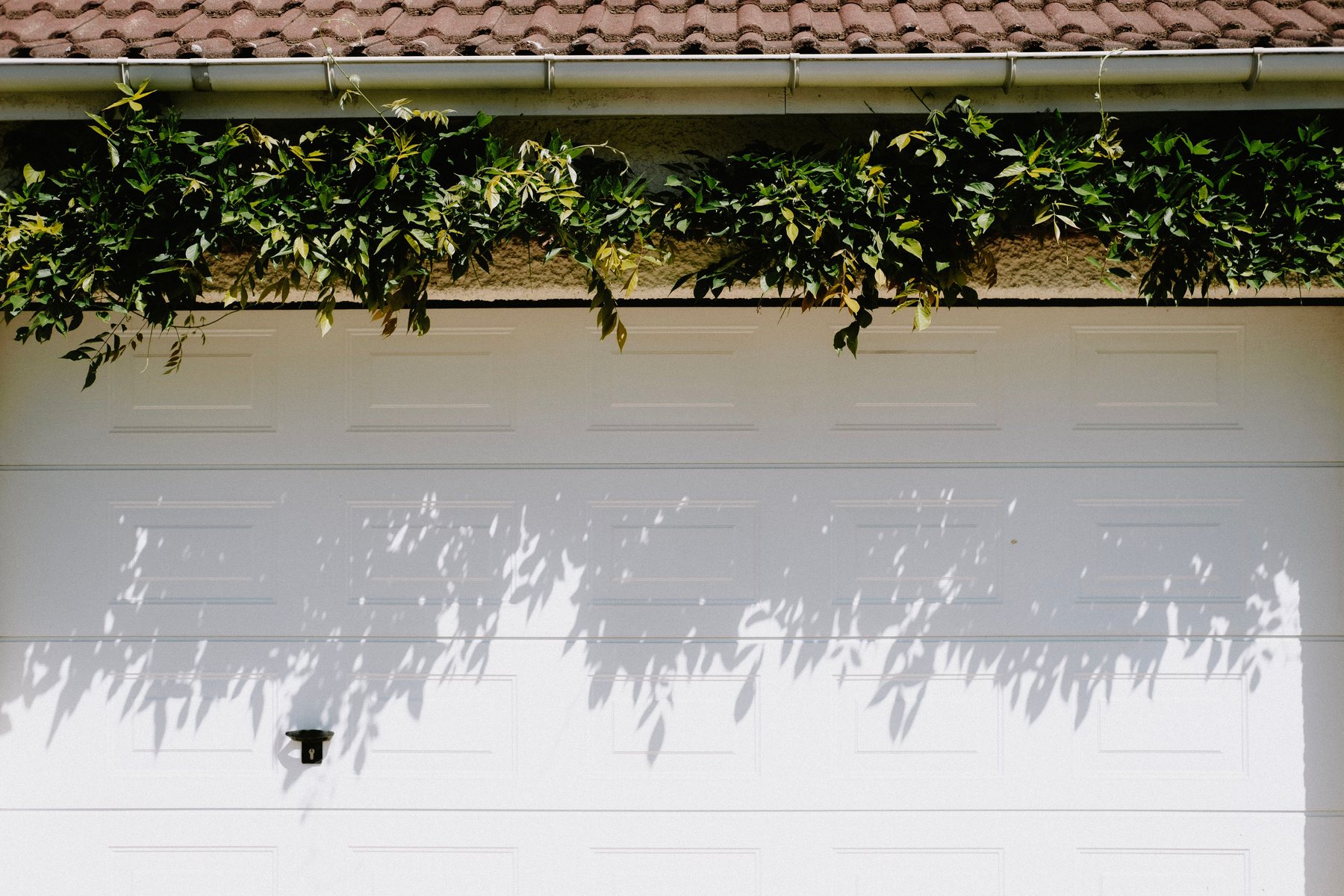 A sectional garage door on the front of a house
