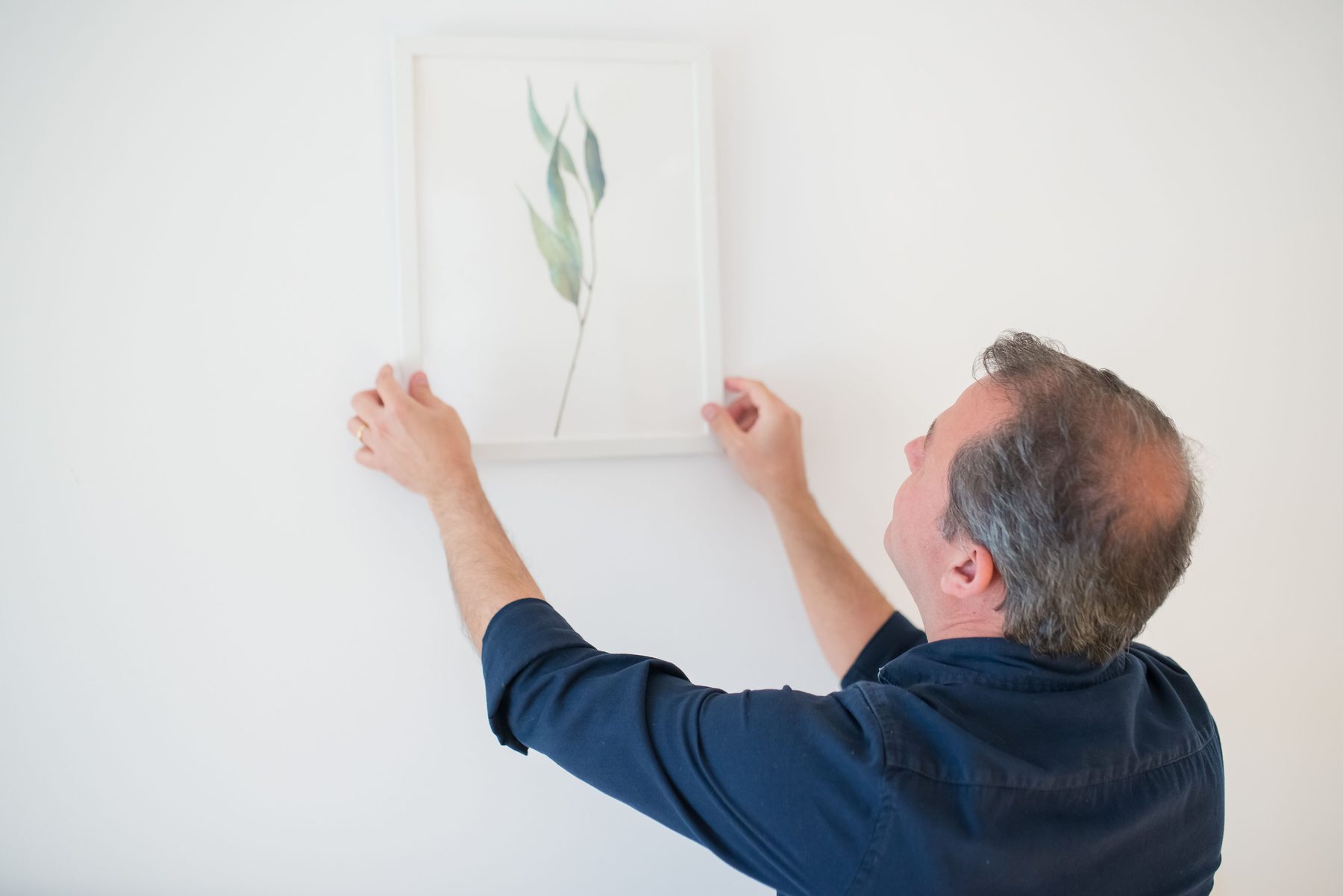 A man lifting a framed botanical print onto a white wall