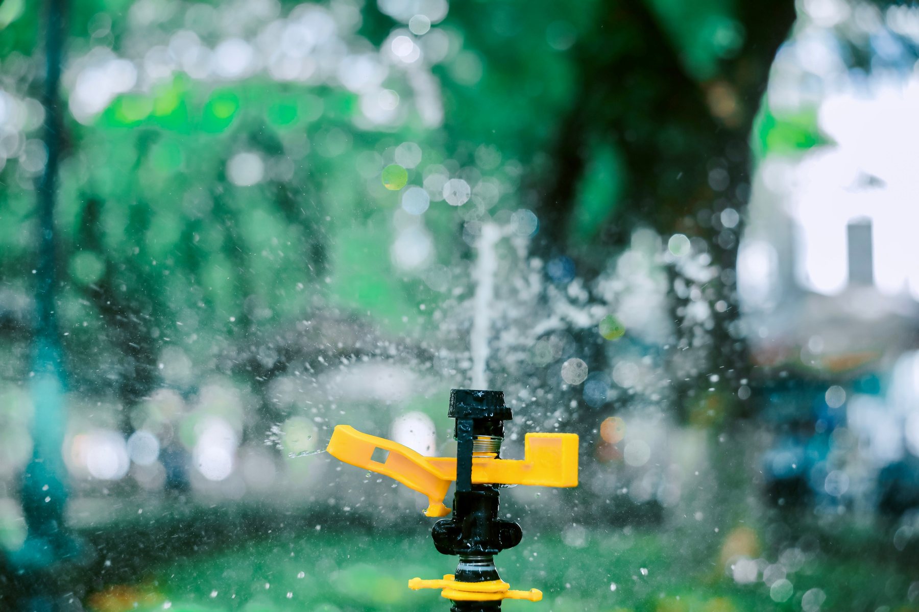 A sprinkler running across a lawn