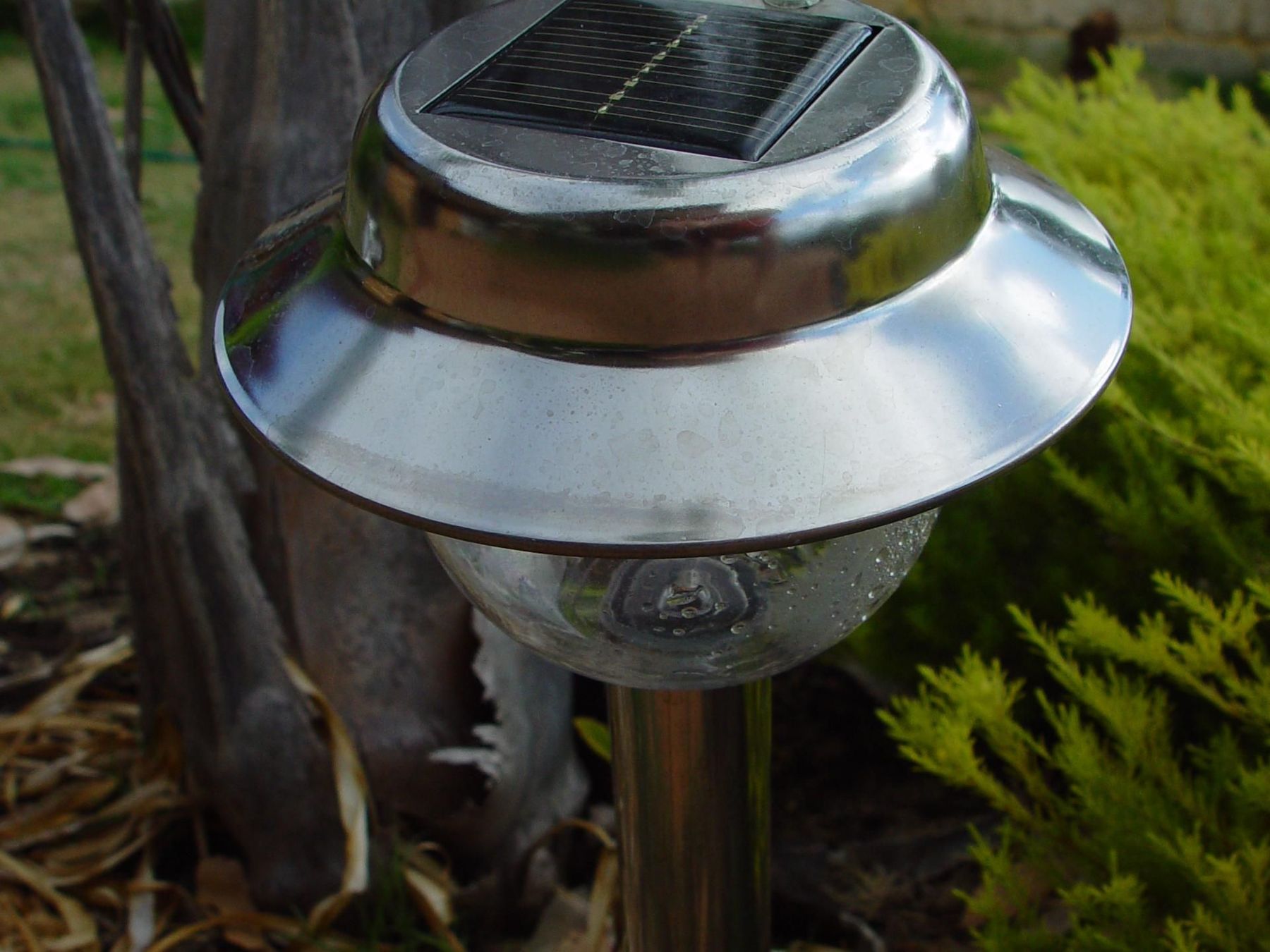 A garden light set among planting