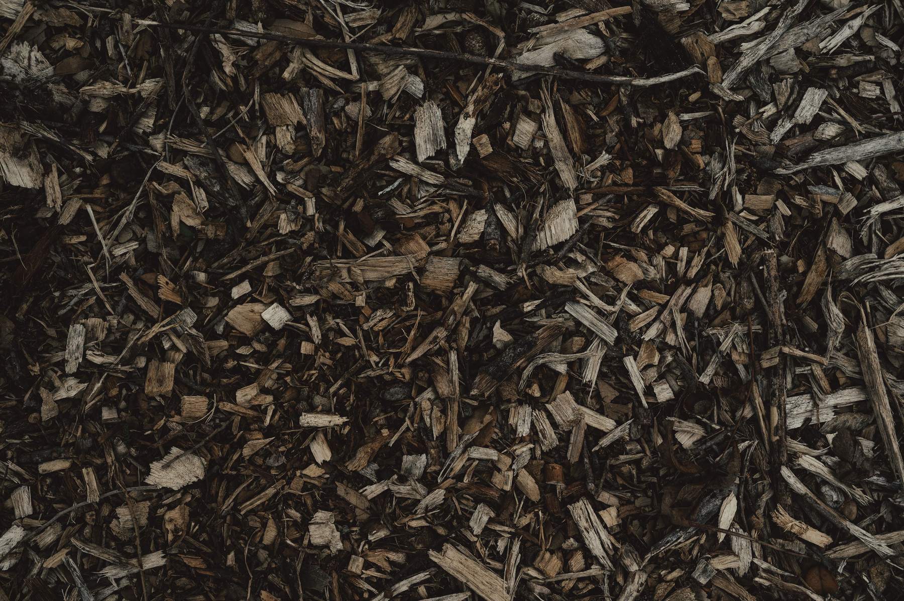 Fresh bark mulch spread across a bed