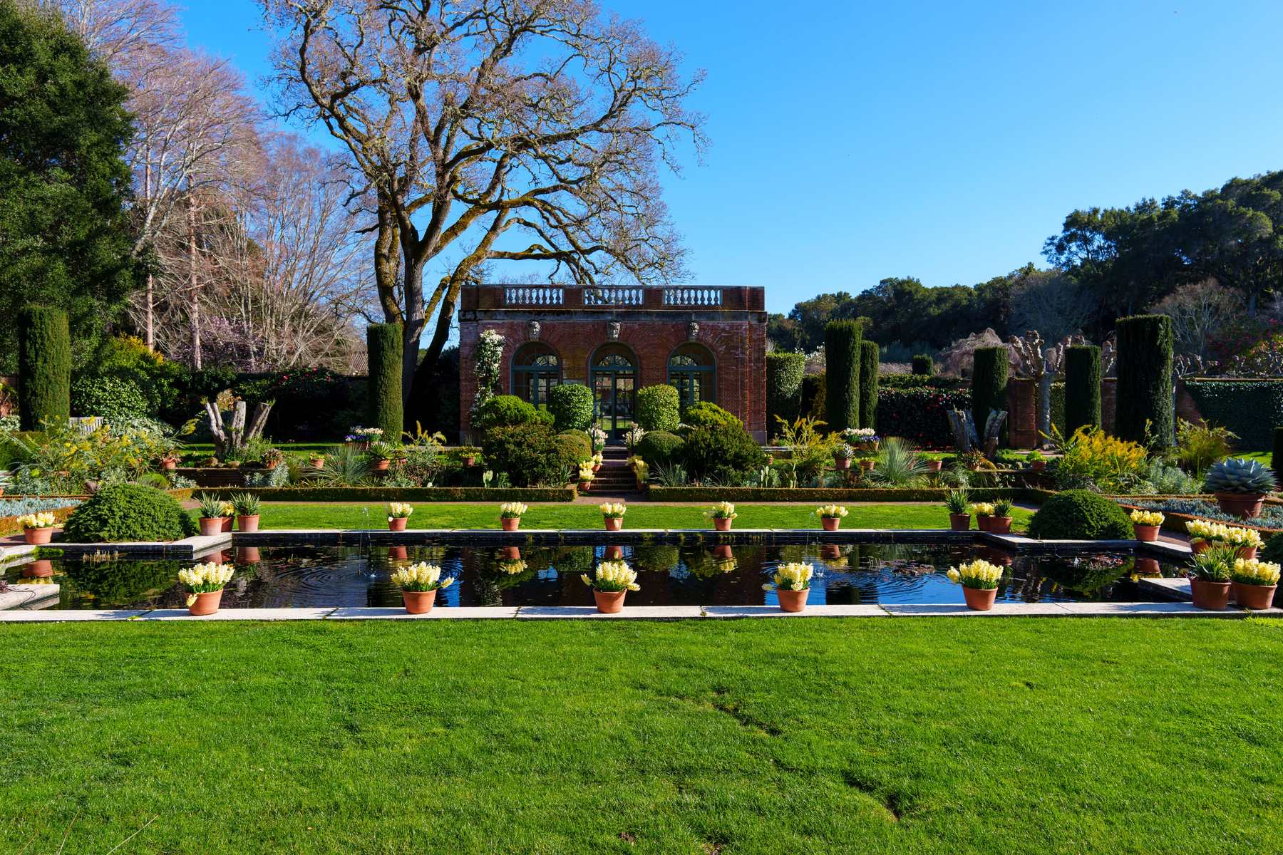 Formal planted gardens and lawn