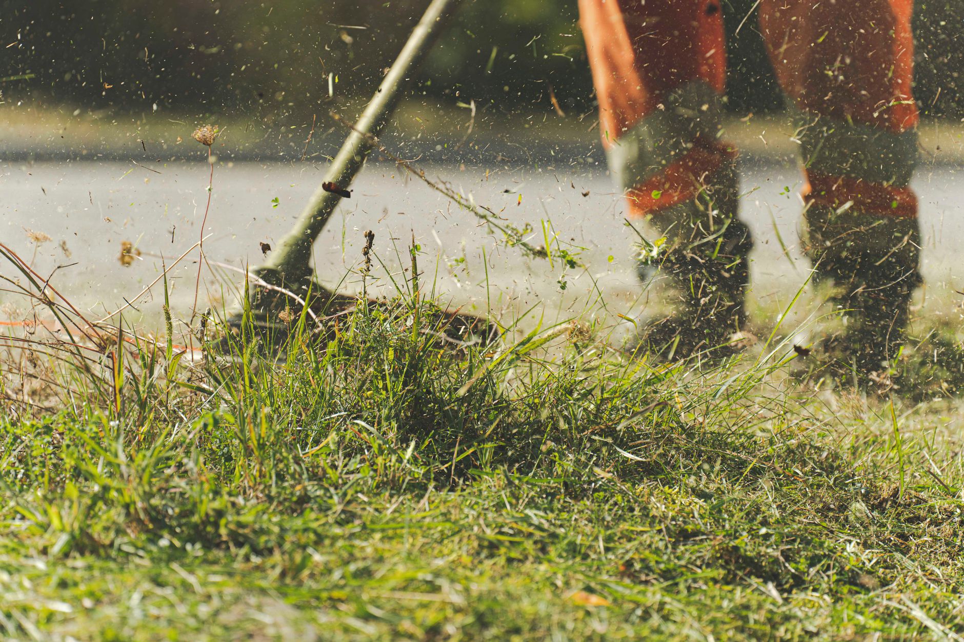 A trimmer cutting long grass at a kerb edge, clippings in the air