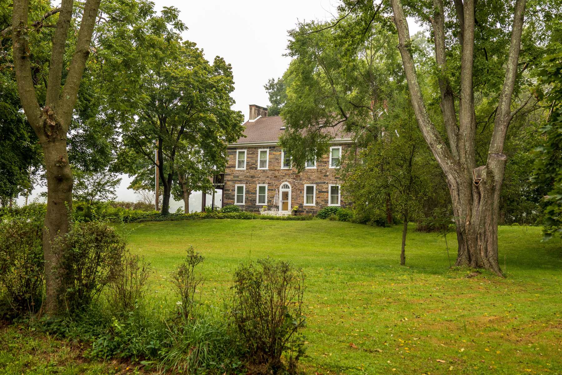 A kept home lawn