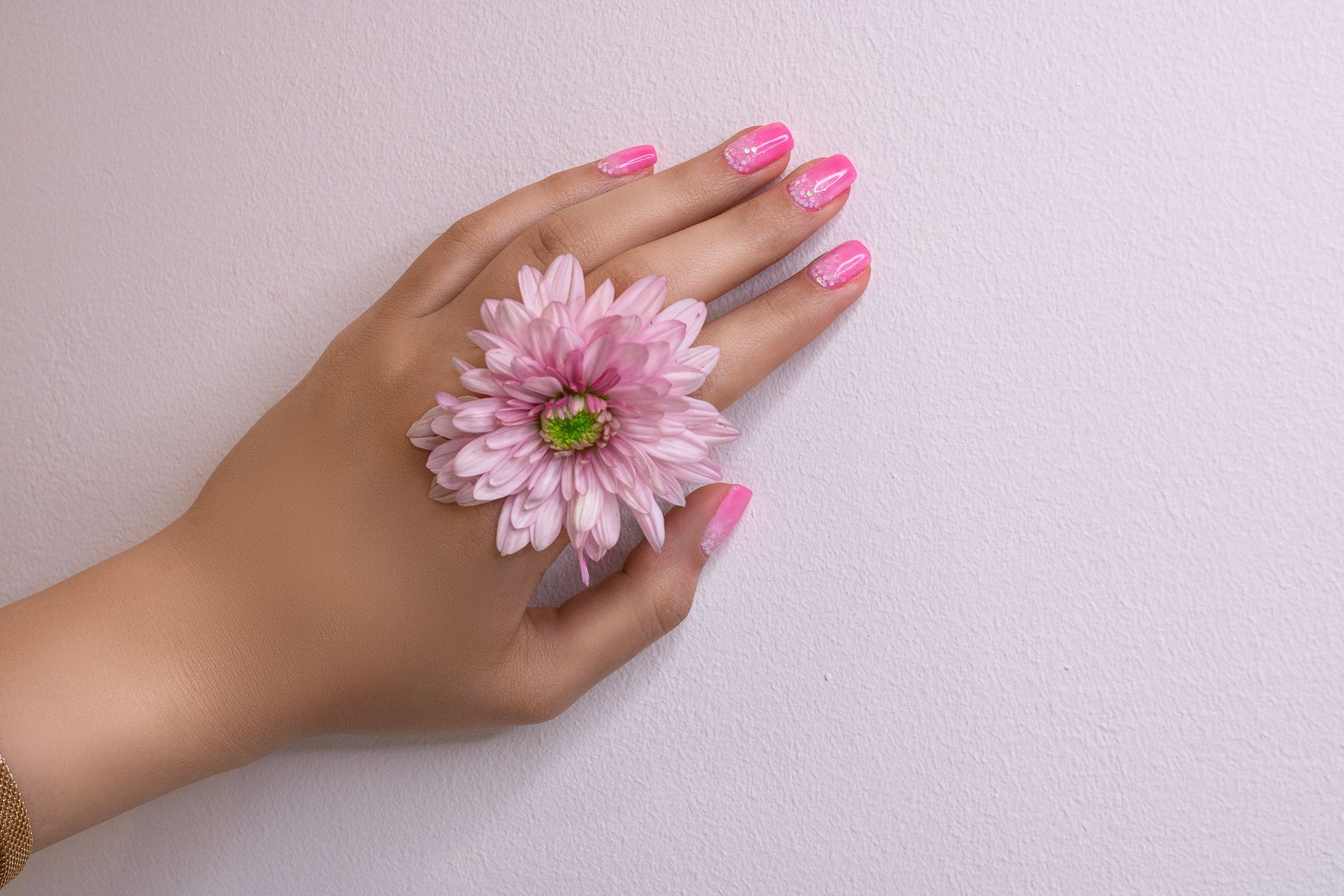 Bright pink nails with a fine white detail, a pink chrysanthemum resting on the hand