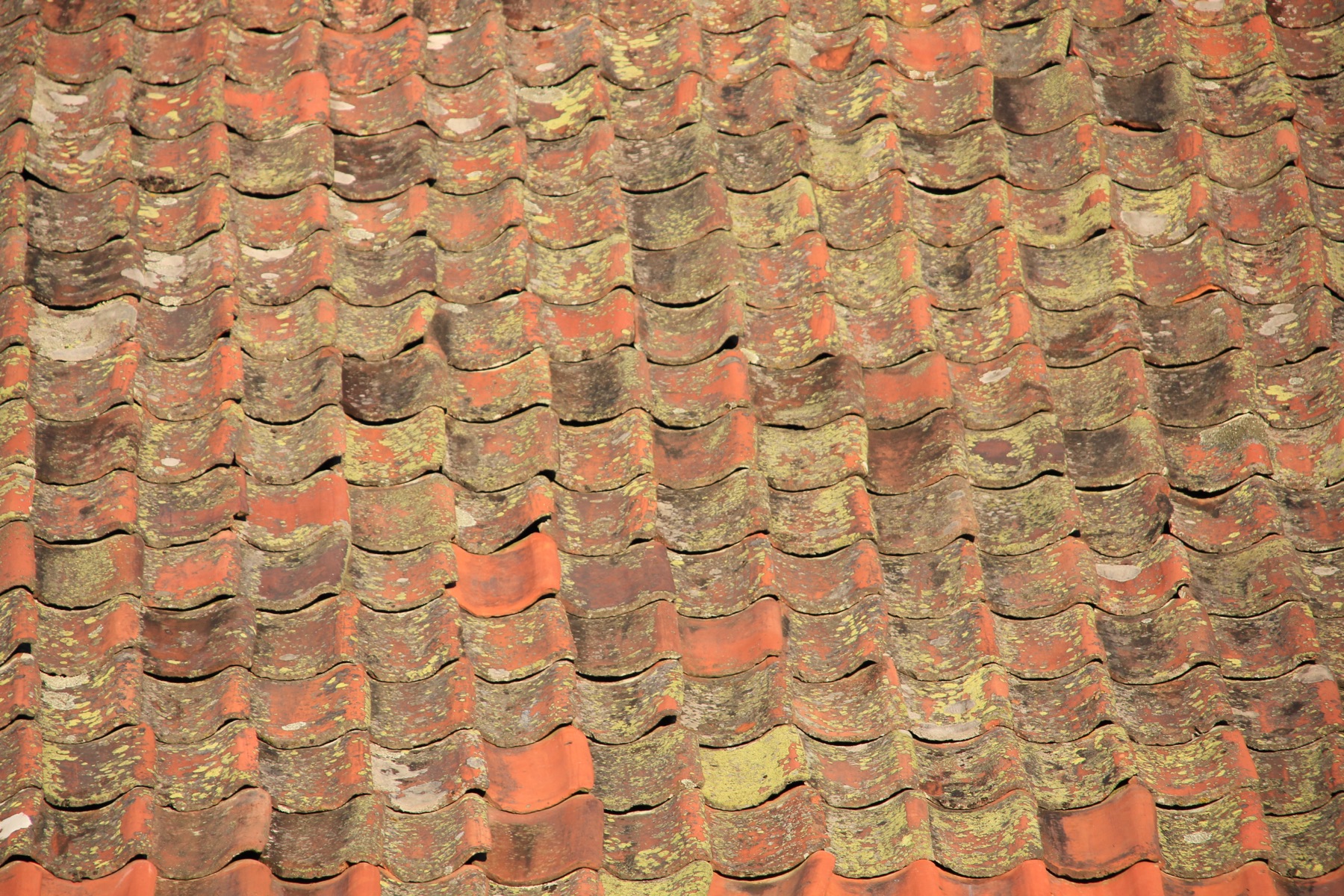 Weathered roof tiles, lichen across the laps