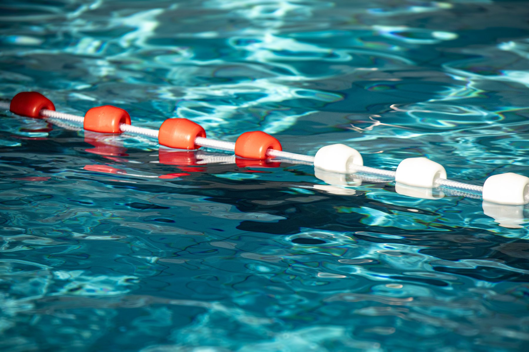 A residential swimming pool behind a mesh safety fence