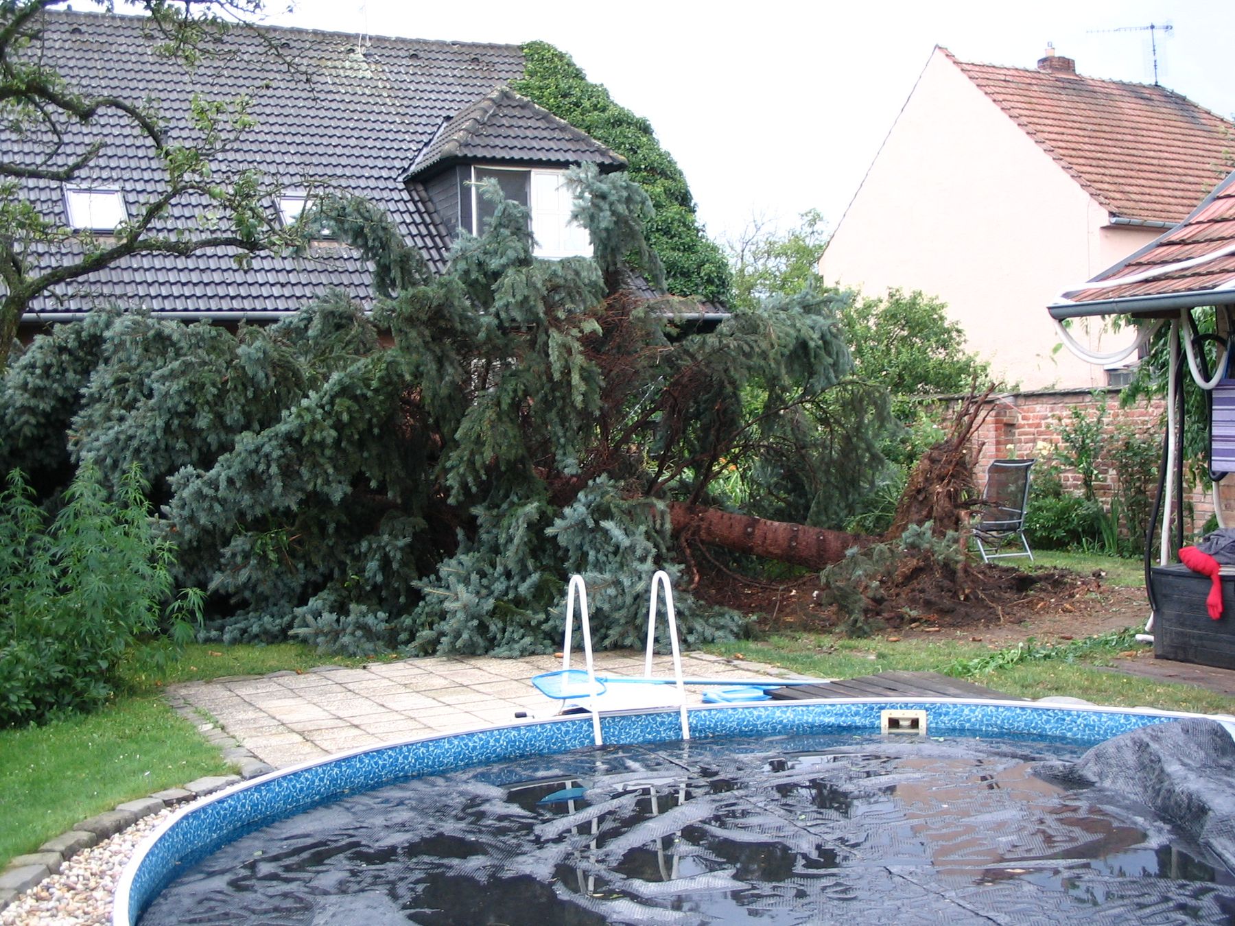A tree down across a property after a storm